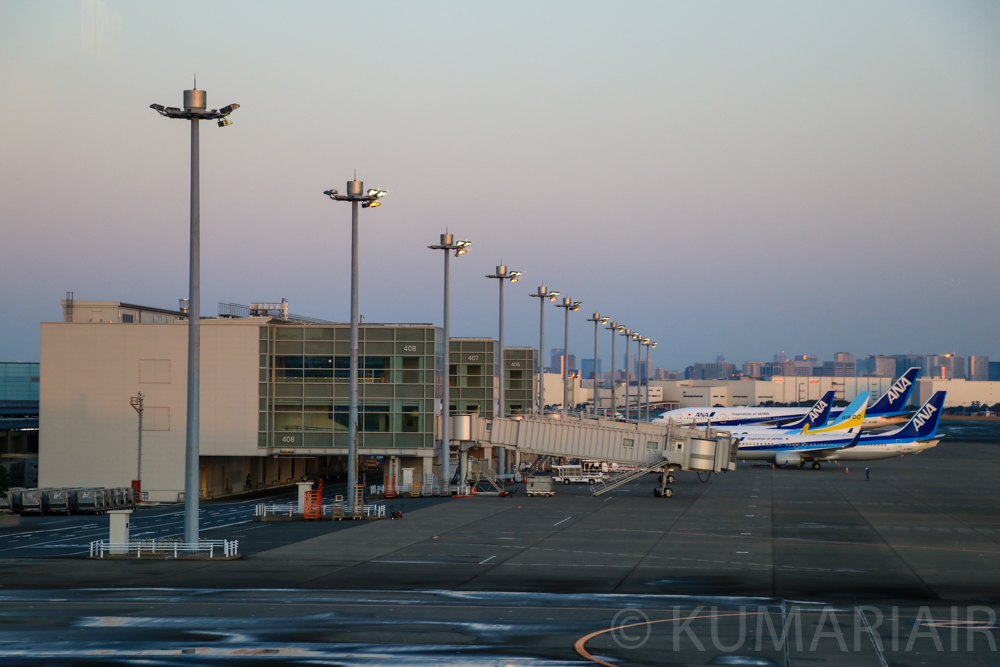 武漢からのチャーター機に使用された理由とは 羽田空港国内線第2ターミナル北側のサテライト施設に迫る シテイリョウコウ