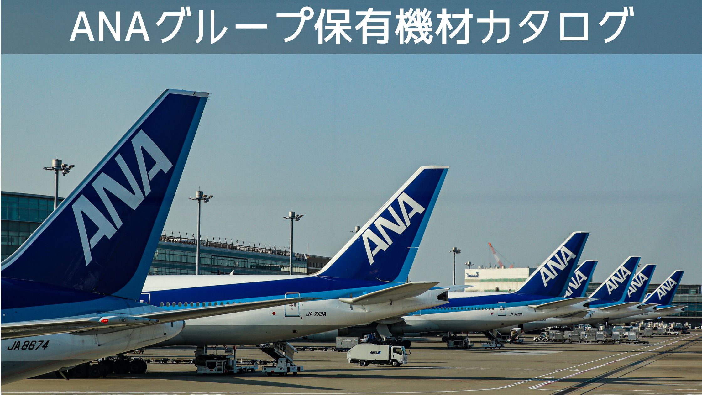 21年2月最新版 全18種類 全日本空輸 Ana グループ保有機材カタログ