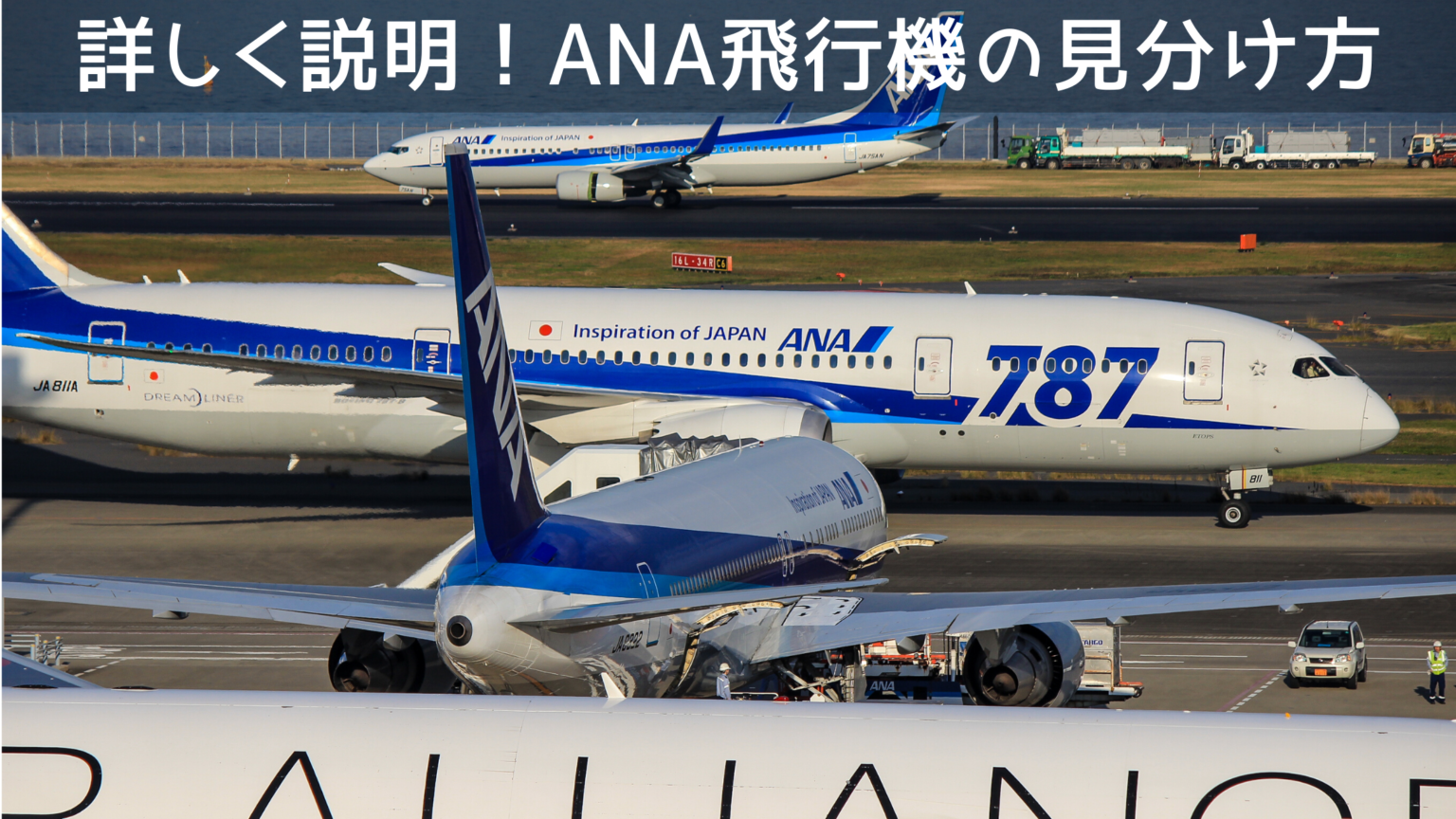 【2022年最新版】飛行機の見分け方を詳しく説明！全日本空輸（ANA）全13機種の運用機種で比較