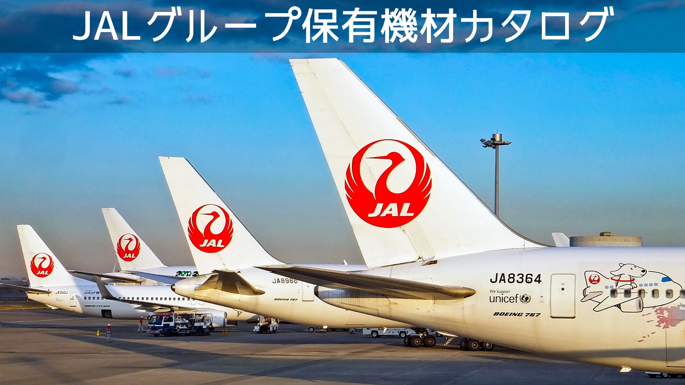 21年6月最新版 全15種類 日本航空 Jal グループ保有機材フリートカタログ P Wエンジン記載あり シテイリョウコウ