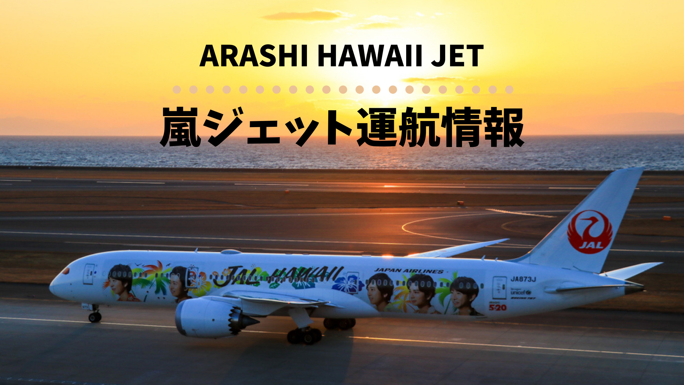 Jalハワイ嵐ジェット運航情報 Arashi Hawaii Jet はどこで見られる 運航スケジュールをほぼ毎日更新 シテイリョウコウ