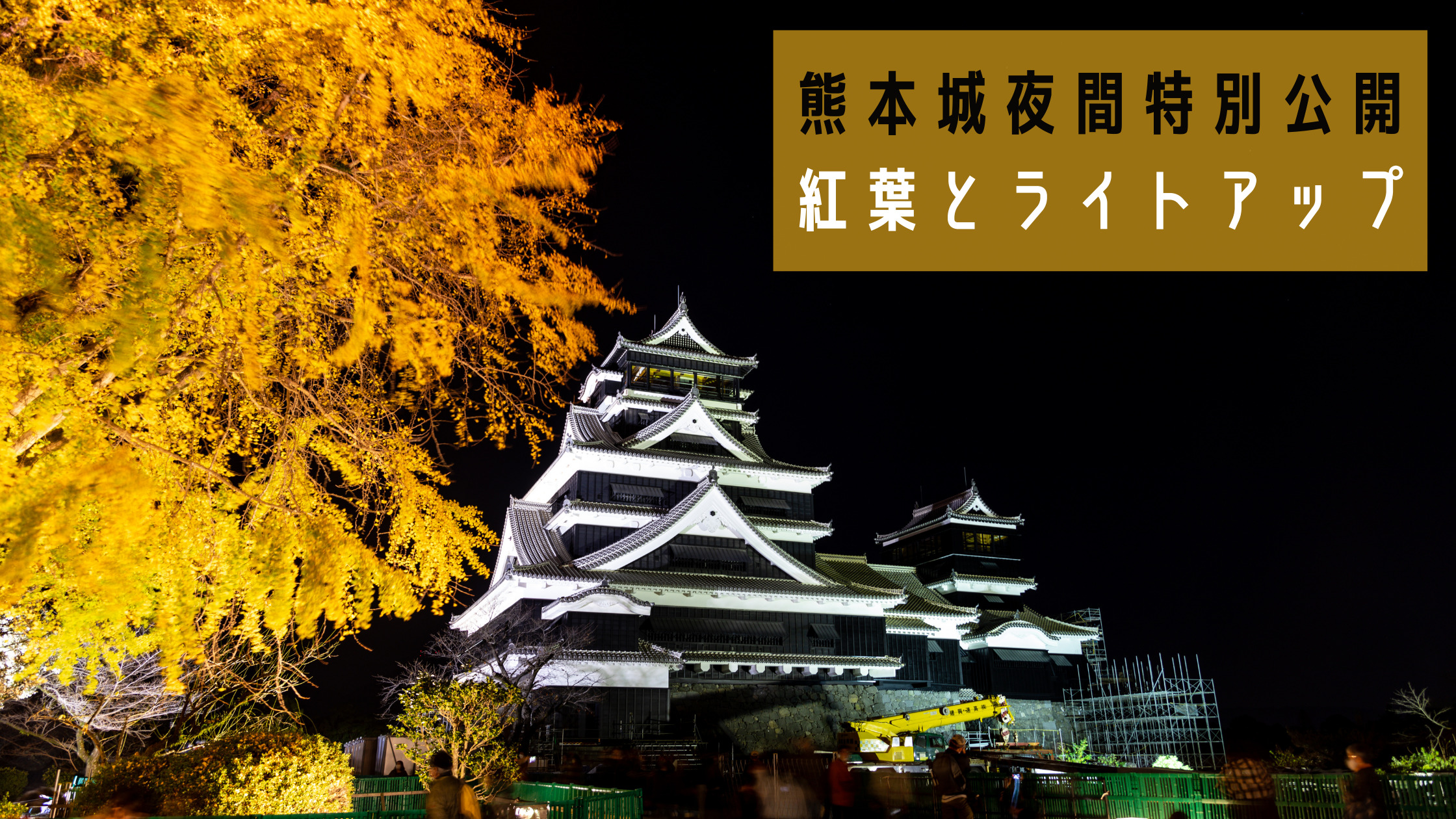 城テレカ ライトアップ 熊本城 桜 最大 Offクーポン