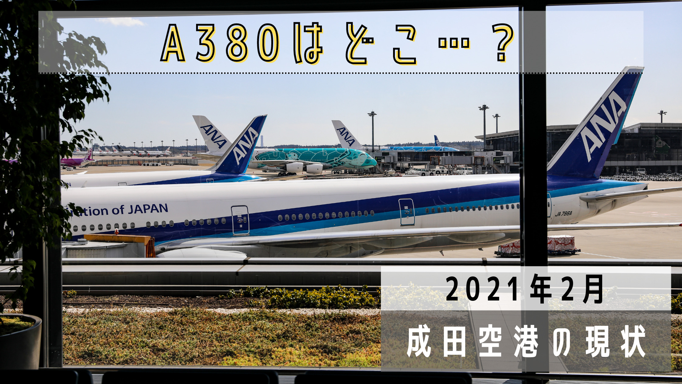 成田国際空港の現状 A380はどこに 21年2月の飛行機撮影日記 シテイリョウコウ 成田国際空港の現状 A380はどこに 21年2月の飛行機撮影日記 シテイリョウコウ