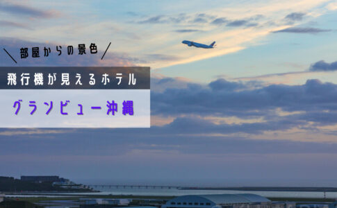沖縄 那覇空港 Oka Roah 飛行機写真撮影スポット シテイリョウコウ 沖縄 那覇空港 Oka Roah 飛行機写真撮影スポット シテイリョウコウ