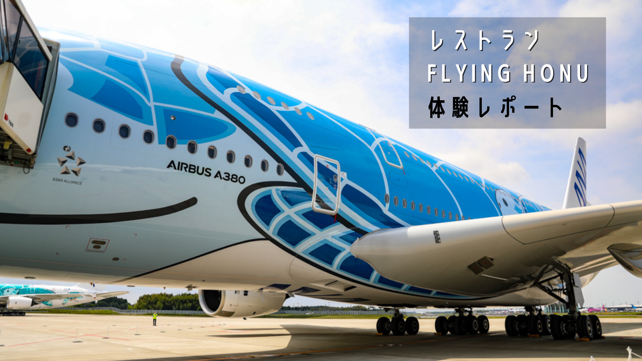 成田発着 ホノルル線の旅気分 Ana レストランflying Honu に参加して世界最大旅客機エアバスa380を間近で体感してきた シテイリョウコウ