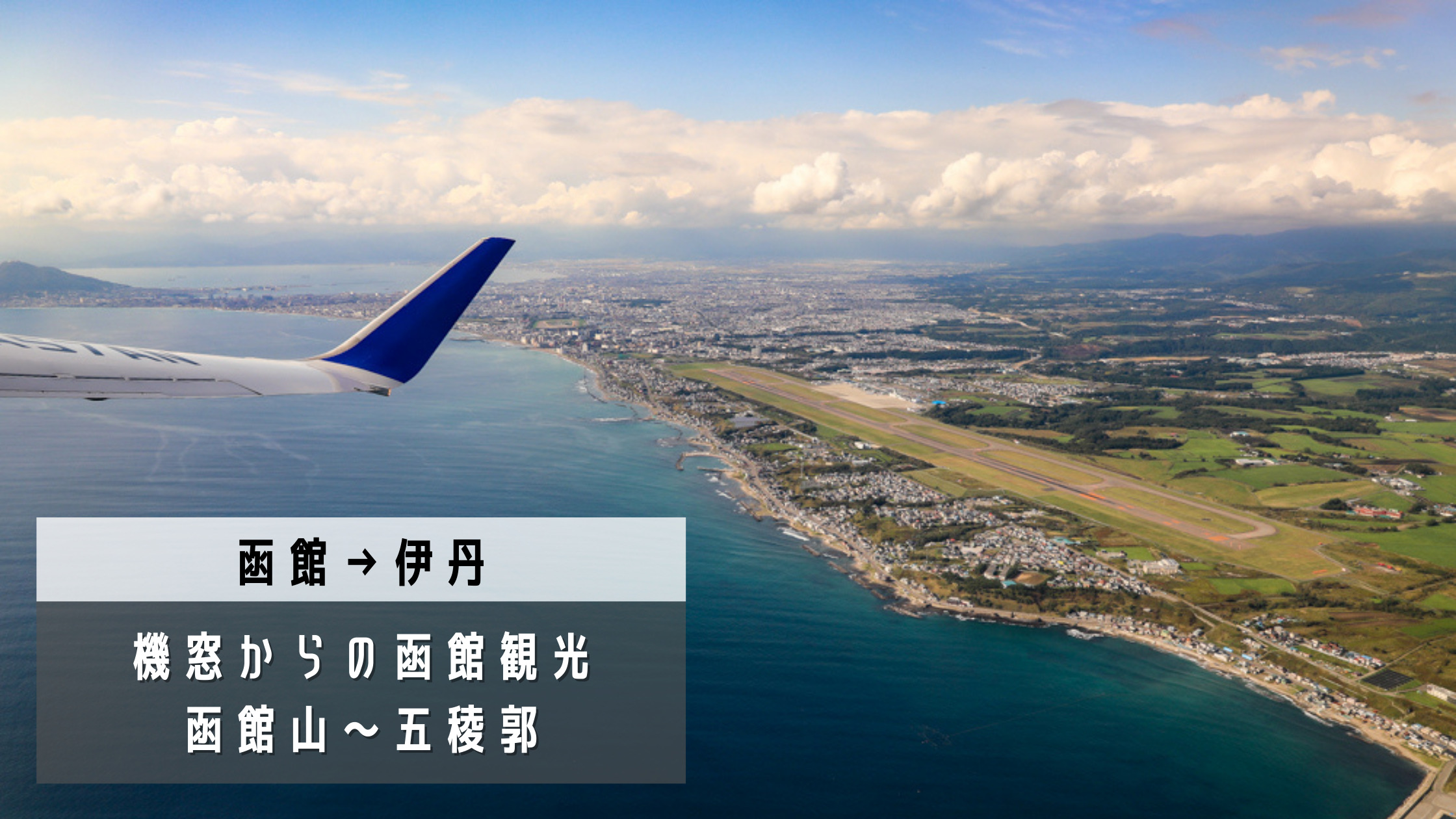 函館 伊丹 飛行機の中でも観光気分 全日本空輸 Ana ボーイング737 800搭乗記 シテイリョウコウ