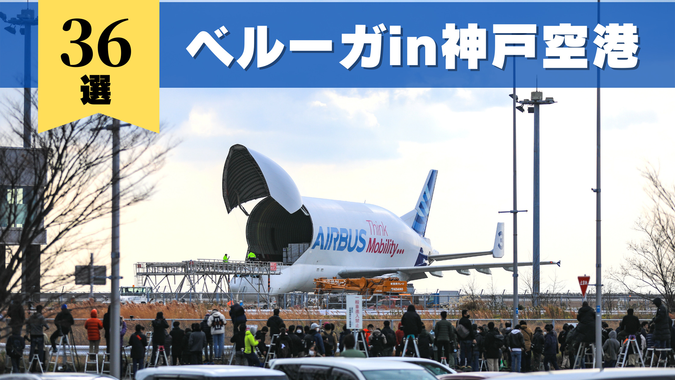 AIRBUS A300-600ST BELUGA】神戸空港に飛来！エアバスベルーガ写真36選 